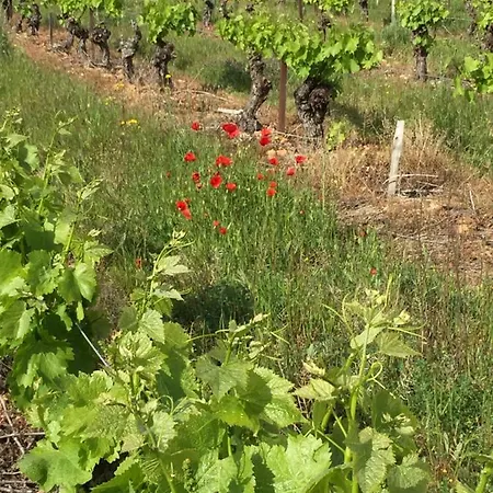 Harmonies Beauvoisin (Gard)
